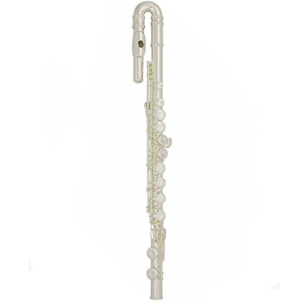 Trevor James TJ10X Curved Head