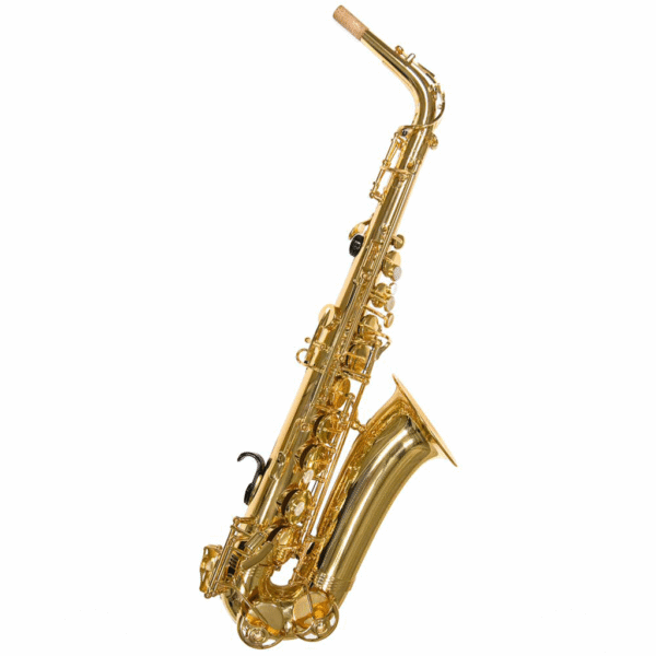 Saxophone Hire