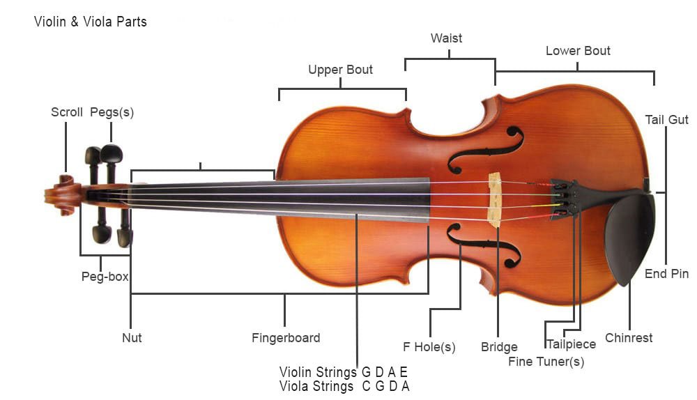 Parts of the Violin/Viola Musical Instrument Hire Co