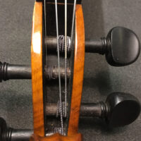 violin-pegbox
