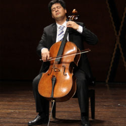 What Does A Cello Look Like