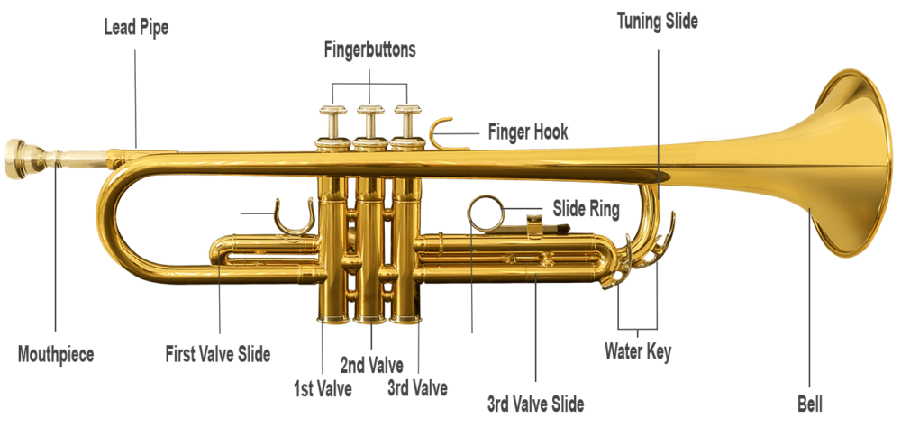 20-most-frequently-asked-questions-about-the-trumpet-musical