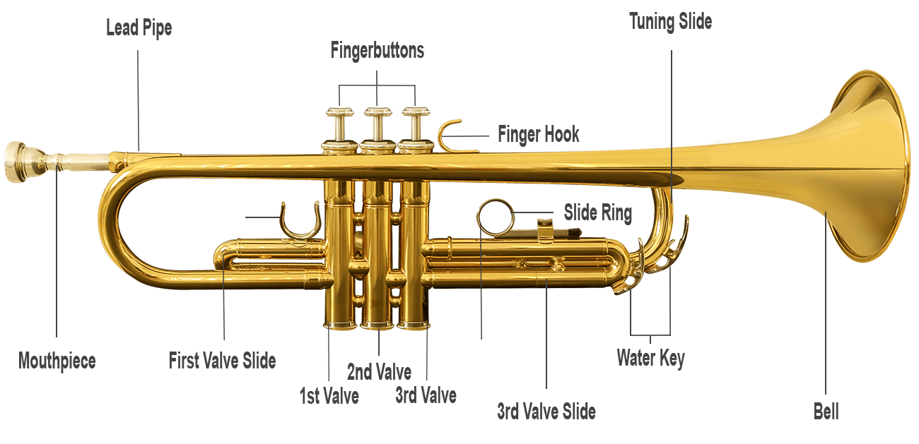 Trumpet перевод. Строение трубы музыкальный инструмент. Trumpet устройство. Конструкция музыкальной трубы. Труба музыкальный инструмент на английском.