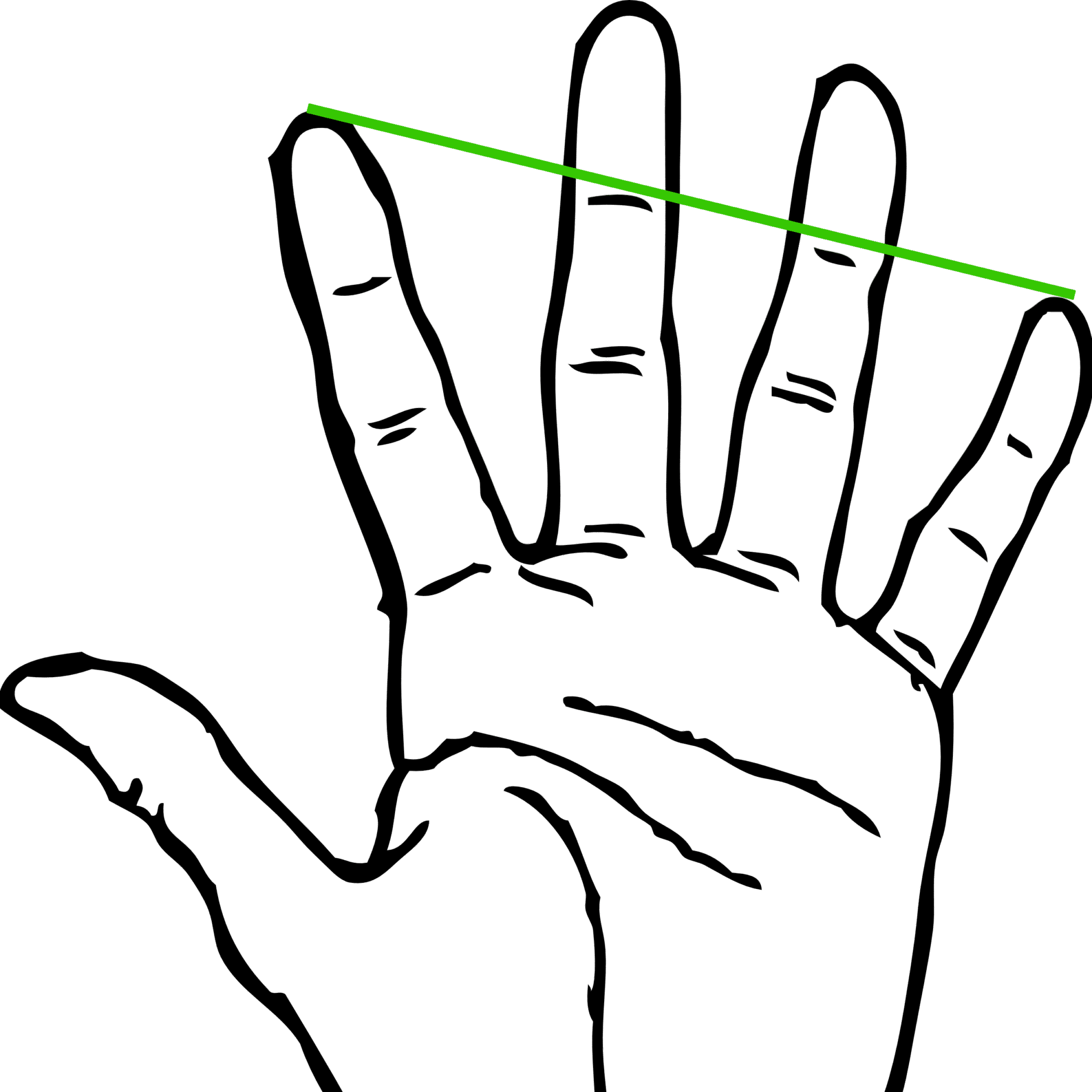 Cello Sizes - What Size Do I Need & How to Measure? - Musical ...