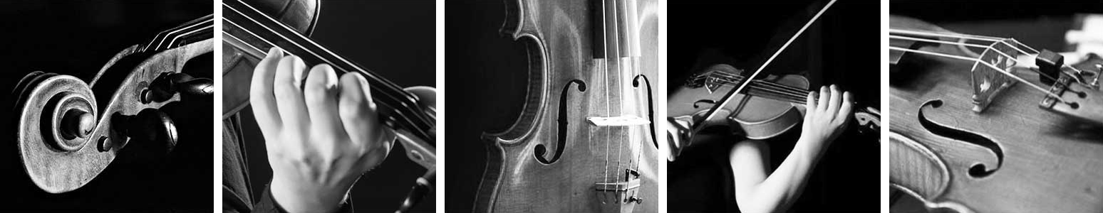 Violin Hire