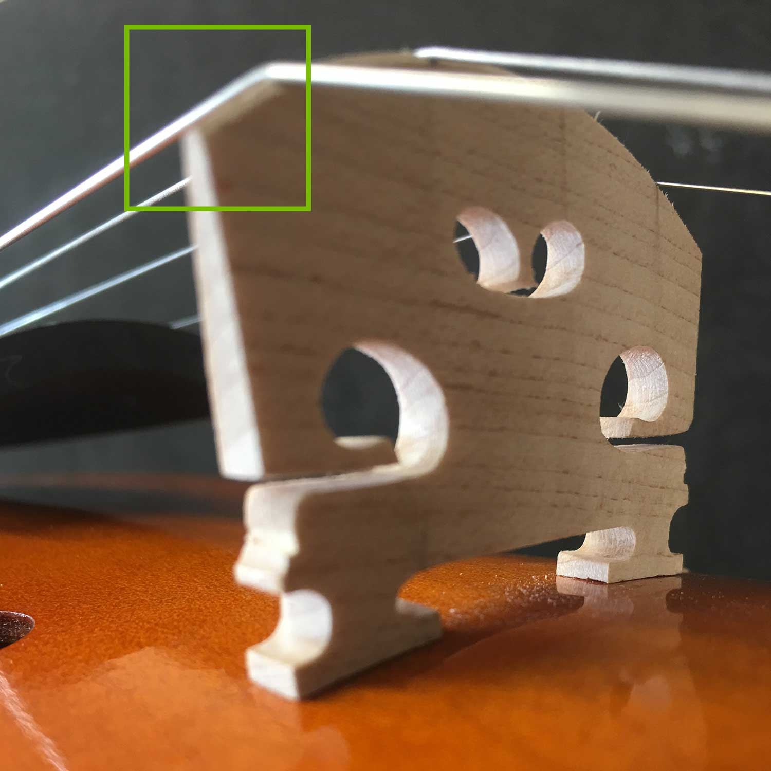 Cheap Violin - Bridge Shape & Height