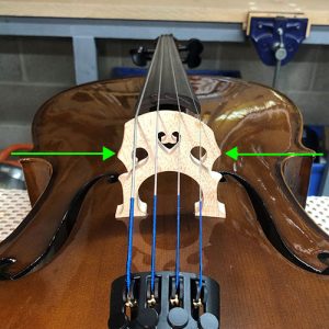 Cello Bridge Design Theory