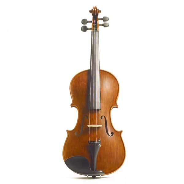Complete Stentor Elysia 4/4 Violin Outfit (Includes Bow, Case, Rosin & Luthier Verified Professional Setup)