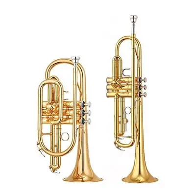 Trumpet Hire